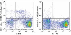 PerCP/Cyanine5.5 anti-mouse CD193 (CCR3) Antibody (144515)
