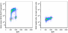 PerCP/Cyanine5.5 anti-BrdU Antibody (364109)