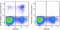 PE anti-human CD158a (KIR2DL1) Antibody (374903)
