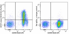 Purified anti-mouse CD157 (BST-1) Antibody (167002)