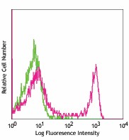 FITC anti-rat CD45RA Antibody (202305)
