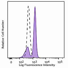 PerCP/Cyanine5.5 anti-STAT1 Phospho (Ser727) Antibody (686415)