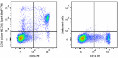 Spark Red™ 718 anti-human CD56 (NCAM) Antibody (318351)