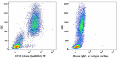 PE anti-human CD10 Recombinant Antibody (377407)