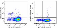 PE anti-human/mouse Bcl-6 Antibody (358503)