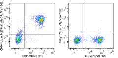 PerCP/Fire™ 806 anti-mouse CD20 Antibody (150441)
