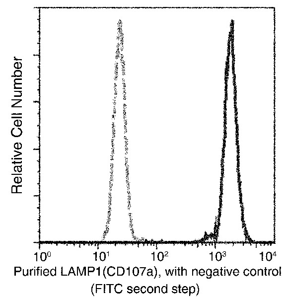 Recombinant LAMP1/CD107a Monoclonal Antibody (AN300057P)