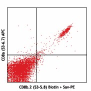 Biotin anti-mouse CD8b.2 Antibody (140406)