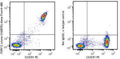 Alexa Fluor® 488 anti-mouse P2RY12 Antibody (848015)