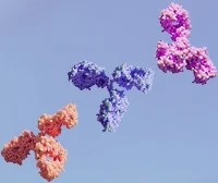 MOUSE. Secondary Antibodies BioLegend