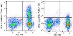 PE/Fire™ 640 anti-human CD152 (CTLA-4) Antibody (369637)