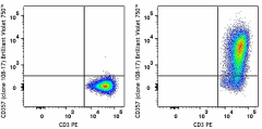 Brilliant Violet 750™ anti-human CD357 (GITR) Antibody (371229)