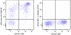 PE anti-rat CD9 Antibody (206508)