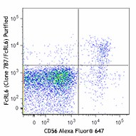 Purified anti-human FcRL6 Antibody (373902)