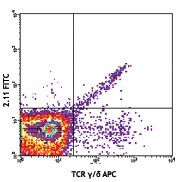 FITC anti-mouse TCR Vγ1.1/Cr4 Antibody (141103)