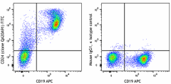 FITC anti-mouse CD24 Recombinant Antibody (114305)
