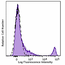 PE anti-mouse CD8a Recombinant Antibody (155007)