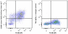Brilliant Violet 421™ anti-mouse CD282 (TLR2) Antibody (148605)