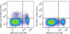 Purified anti-mouse EOMES Antibody (157702)