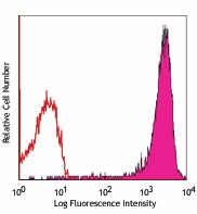 APC anti-rat CD90/mouse CD90.1 (Thy1.1) Antibody (202526)