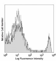 Biotin anti-mouse CD8a Antibody (100703)