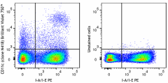 Brilliant Violet 750™ anti-mouse CD11c Antibody (117357)