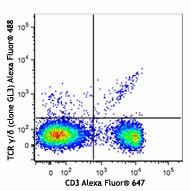 Alexa Fluor® 488 anti-mouse TCR γ/δ Antibody (118127)