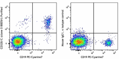 Purified anti-human CD32B/C Antibody (398302)