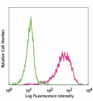 PE anti-mouse Tim-2 Antibody (129006)