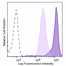 Purified anti-Puromycin Antibody (381502)