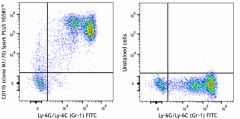Spark PLUS YG581™ anti-mouse/human CD11b Antibody (101266)