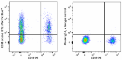 Pacific Blue™ anti-human CD38 Antibody (303555)