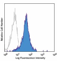 APC anti-mouse CD144 (VE-cadherin) Antibody (138011)