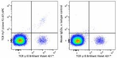 APC anti-mouse TCR Vγ7 Antibody (161703)