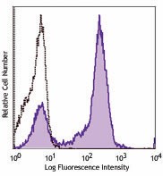PE anti-mouse Ki-67 Antibody (652403)