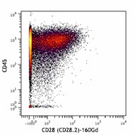 Purified anti-human CD28 (Maxpar® Ready) Antibody (302937)