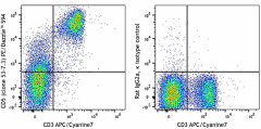 PE/Dazzle™ 594 anti-mouse CD5 Antibody (100643)