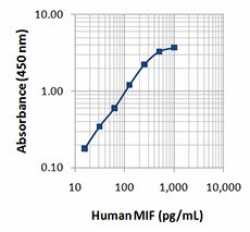 Biotin anti-human MIF Antibody (525503)