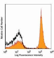 PE anti-mouse CD19 Antibody (115507)