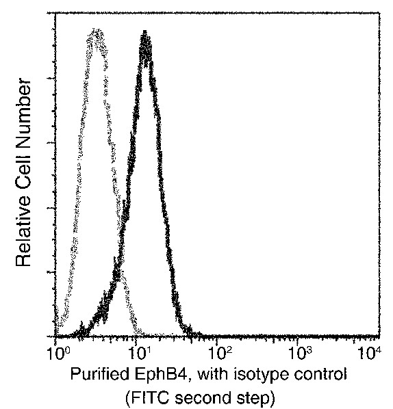 EphB4/HTK Monoclonal Antibody (AN200009P)