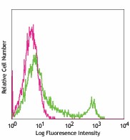Purified anti-mouse CD8b Antibody (126602)