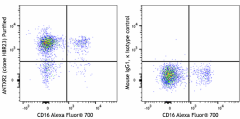Purified anti-human ANTXR2 Antibody (318402)