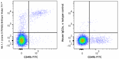 Brilliant Violet 711™ anti-mouse NK-1.1 Antibody (156541)