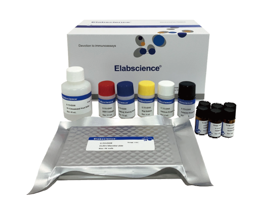 DNSH (3,5-Dinitrosalicylic acid hydrazone) ELISA Kit (E-FS-E186)
