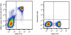PE/Fire™ 810 anti-mouse CD90.2 (Thy1.2) Antibody (105357)