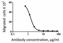 Ultra-LEAF™ Purified anti-human CD197 (CCR7) Antibody (353255)