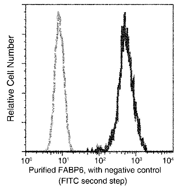 Recombinant FABP6/ILBP/I-BABP Monoclonal Antibody (AN300258P)