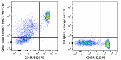 PerCP/Fire™ 780 anti-mouse CD38 Antibody (165617)
