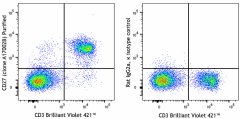 Purified anti-mouse CD27 Antibody (110102)