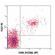PE anti-human CD122 (IL-2Rβ) Antibody (339005)